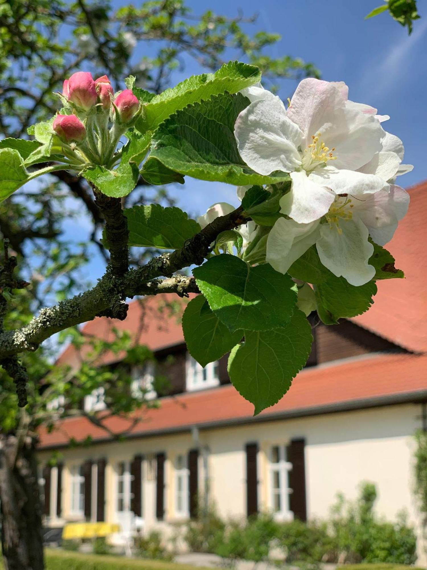 Landhaus Saaleck Naumburg  Exterior photo