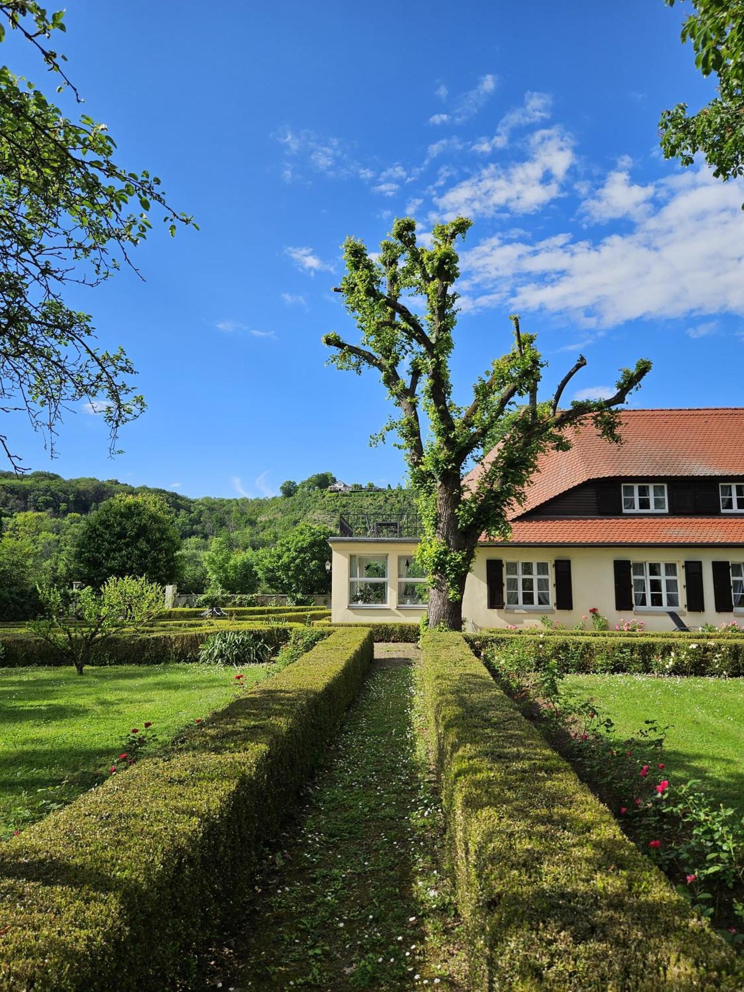 Landhaus Saaleck Naumburg  Exterior photo